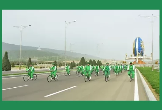 167f2c5d3d9272.webp