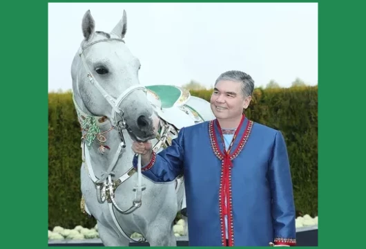 1667f87962607d.webp